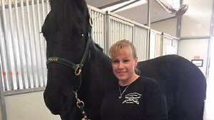Metro Police Mounted Unit saves Gryff the horse thanks to community donations