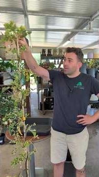 Has this ever happened to you...? #plants #plants #plantwatering #irrigation #soil #watering