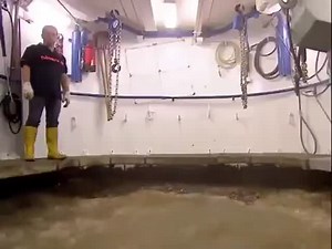 Diving Bell Ship  (VIDEO)