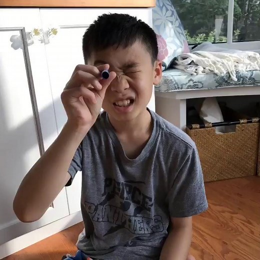 DIY Beehouse from Milk Carton