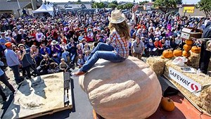 7.6K views · 28 reactions | But more importantly, how many pies can we get out of this one-ton pumpkin? | The Modesto Bee | Facebook