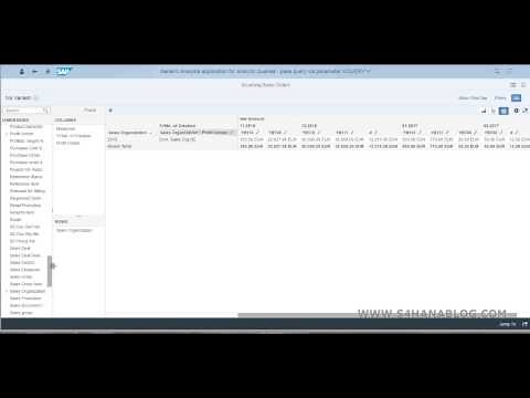 SAP S/4HANA Embedded Analytics - Query Browser