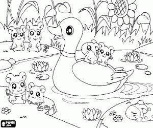 Hamtaro and friends in the pond coloring page printable game