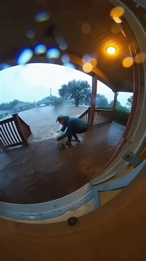 She Ran Into the Flood: Ring Camera Captures Samoyed Rescue 🌊🐾