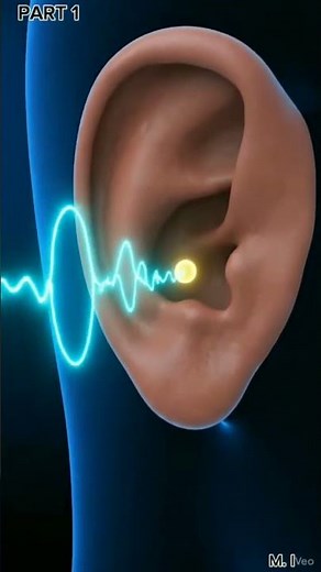 Sensory System Explained | Five Senses & Receptors | Human Anatomy Animated Video"