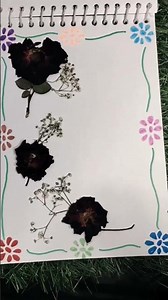 diy rose border design #tranding #viral #ytshorts #shorts #reels #video #explore #new #ideas