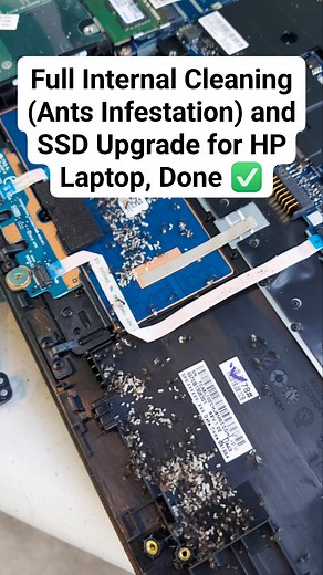 Full Internal Cleaning (Ants Infestation) and SSD Upgrade for HP Laptop, Done ✅️ Thank you for trusting Abelo Tech Solutions ma'am saimong unit. Located at Apopong General Santos City. Sa naay pa repair nga mga laptop or computer dha PM lang mo sakoa Jay Miole Abelo or sako page Abelo TechSolutions #AbeloTechSolutions #laptoprepair | Jay Miole Abelo | Facebook