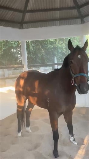 1K views · 20 reactions | Stephen Cook on Reels | Facebook