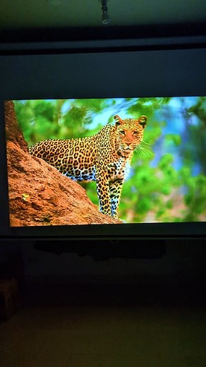 1.9K reactions · 91 shares |  03222150361 | 03212433749  Office...