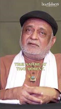 Realization Comes in Stages | The Journey to Discover Your True Self