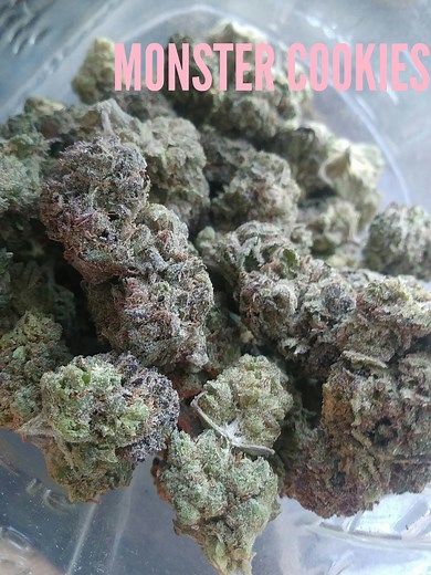 Monster Cookies | Marijuana Strain Reviews