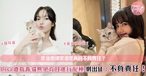 Lisa遭出征只愛「品種貓狗」！愛貓「英格蘭折耳貓」雖可愛卻是基因突變品種？ | 女生集合 #Tagsis