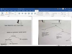 Gram neg flow charts