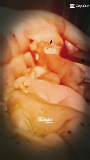 ‪@Kaew8286‬ #อย่าดูตอนสุข...ให้ดูตอนทุกข์ว่าใครอยู่กับเรา#ว่าซ่านนน 🤪😁😘🤔😋🫡🫢🤫🙃💪🫶🫰