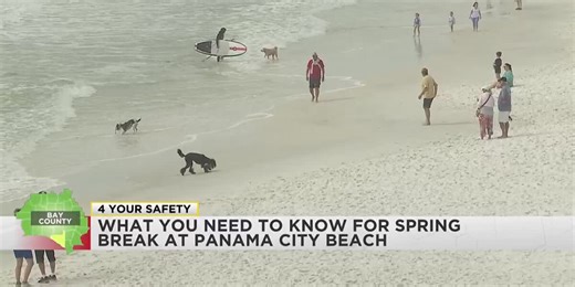 What you need to know before heading to Panama City Beach for Spring Break