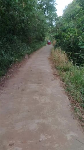 ChamiYa (@c.h.a.m.i.y.a.b.o.y)’s videos with original sound - S U F F Y 😼