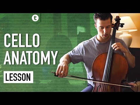 A Guide on the Cello and Bow | Cello Anatomy Lesson | Andrew Savoia | Thomann