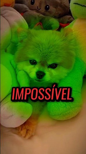 ENCONTRE A LUNA!!! (IMPOSSÍVEL) Bruno Campos