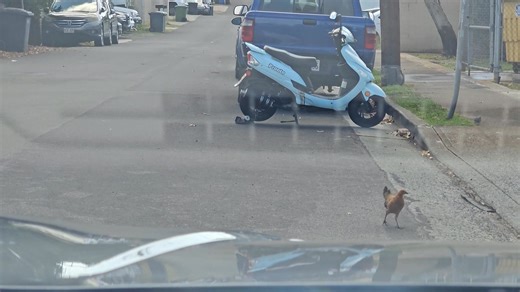 Michael Kelly on Reels