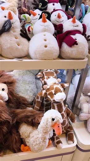 Window Shopping guys #everyone #youtubers #myshortsvideos #mysubscribers #viewers