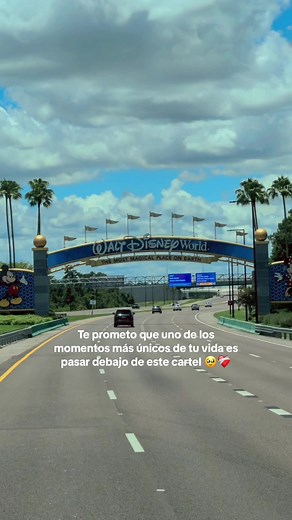 Magia en Disney: Un Viaje de Quince Años Inolvidable