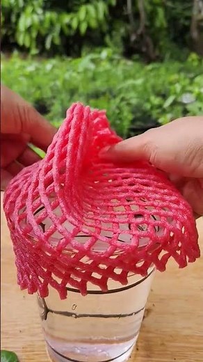 Water Propagation in Disposable Glass 😱 | Plant Growing Hack | @Travelling and Gardening with Me