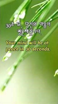 |Just 1-Min. Rainy Healing|딱 1분,마음을 씻어내는 빗소리