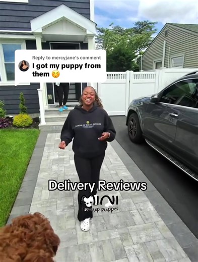 mini_teacup_puppies sur TikTok