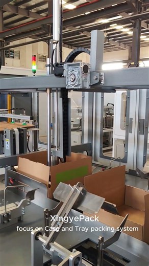 XingyePack focus on Case and Tray packing systems Tray forming machine