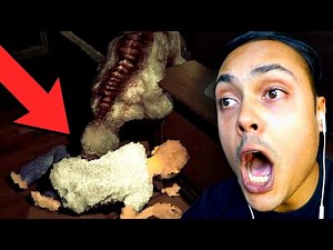 KEEP MY CHILDREN ALIVE FROM THE MONSTERS