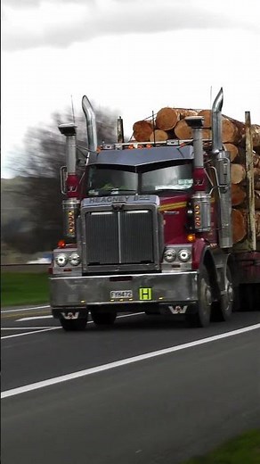 LOGGING TRUCK NZ