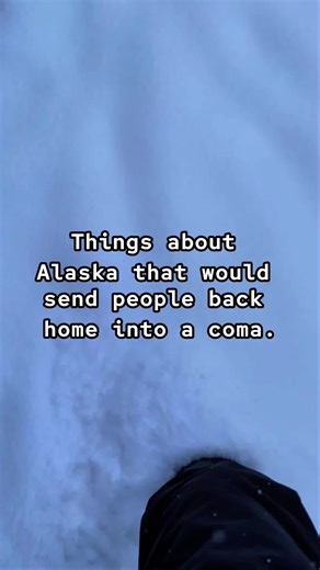 Discover Alaska's Unique Winter Life Experience