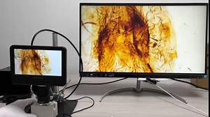 Andonstar AD246SM 2000X UHD 2160P HDMI Digital Microscope for Adults, PCB Soldering & Phone Watch Repairing, Coin & Biological Slides Viewing