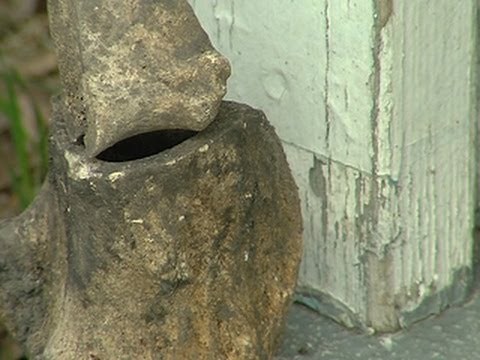 Ancient human skeleton found in backyard