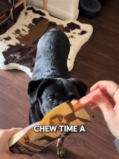 How to make a bully stick extra enriching for your dog! Make it into a dog-friendly Easter