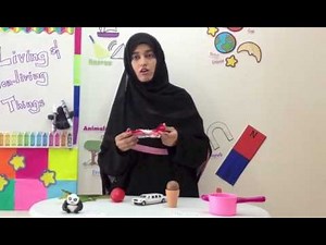 Living Things and Non-living Things - Grade 1 2 3 Science Videos for Children