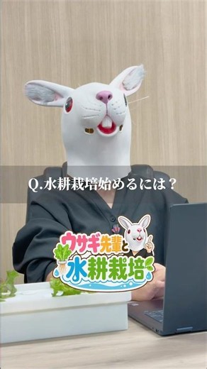 水耕栽培初心者必見！水耕栽培に必要なものを解説します！#水耕栽培 #野菜栽培 #家庭菜園初心者
