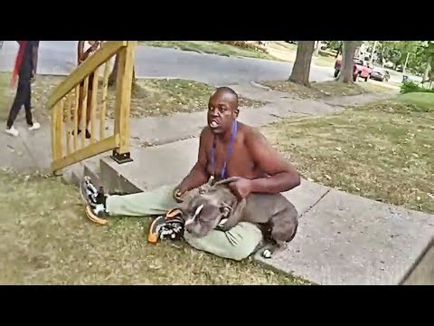 Springfield Police Struggle With Suspect Accused Of Animal Cruelty