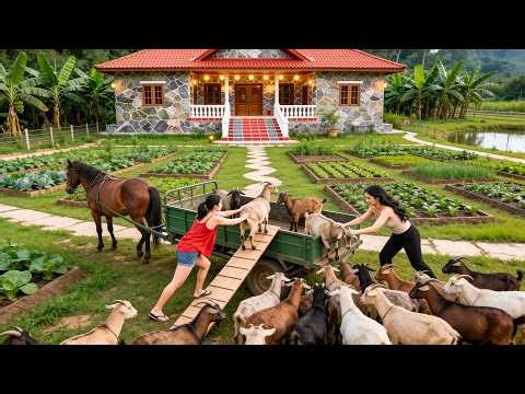 TIMELAPSE -- Transporting 50 Goats to Market with Ly Tieu Toan | Sold Out Fast