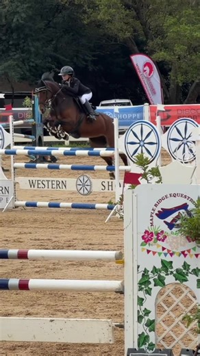 Exploring My First 1.35 Experience with Lu