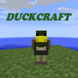 Duck Craft