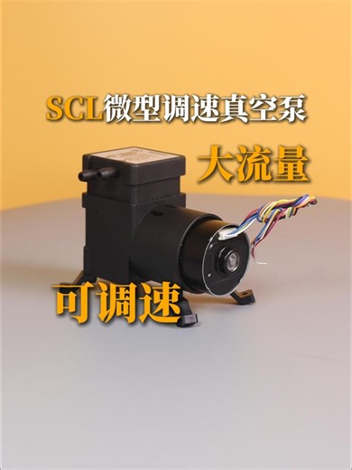 可调速的SCL微型调速真空泵，基不基础?