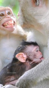 Jane tell Janna that Jazzy is sleeping don't disturb cutie baby! | Good Or Bad