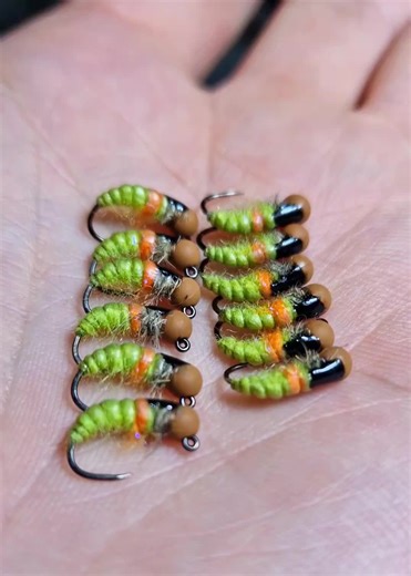 Hydropsyche Larva 🎣 #flyfishing #polandnymphsbox #euronymphnig #polandnymph #jignymphs