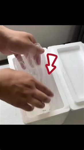 #animal #animaux #pourtoiii #francetiktok #france