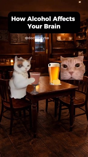 Wow Medicine on Instagram: "🍺🧠 Why alcohol makes your brain forget basic rules — like not peeing yourself 👇 Alcohol doesn’t just make you “tipsy” — it selectively shuts down key brain regions that control awareness, judgment, and inhibition. Here’s what’s happening ⬇️ 🧠 Prefrontal cortex This area handles decision-making, impulse control, and social restraint. Alcohol suppresses it — so the brain’s “don’t do that” filter goes offline 🚫 ➡️ Poor judgment, risky behavior… and bad decisions tha