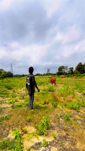 ALONE BOY HARA | 🙏❣️ #village #god #animals #love #instagram | Instagram