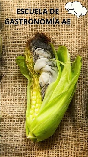 Huitlacoche: the corn fungus that is a delicacy in Mexico