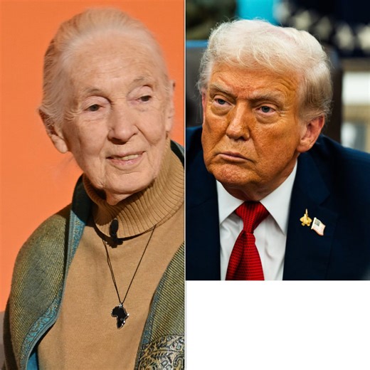 Jane Goodall’s Analysis Of Donald Trump’s Chimp-Like Behavior Goes Viral After Her Death