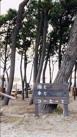 POV｜稲毛海浜公園（02） ｜#稲毛海浜公園 #海 #海岸 #Cafe #千葉県稲毛 #稲毛海岸 #pov #vlog